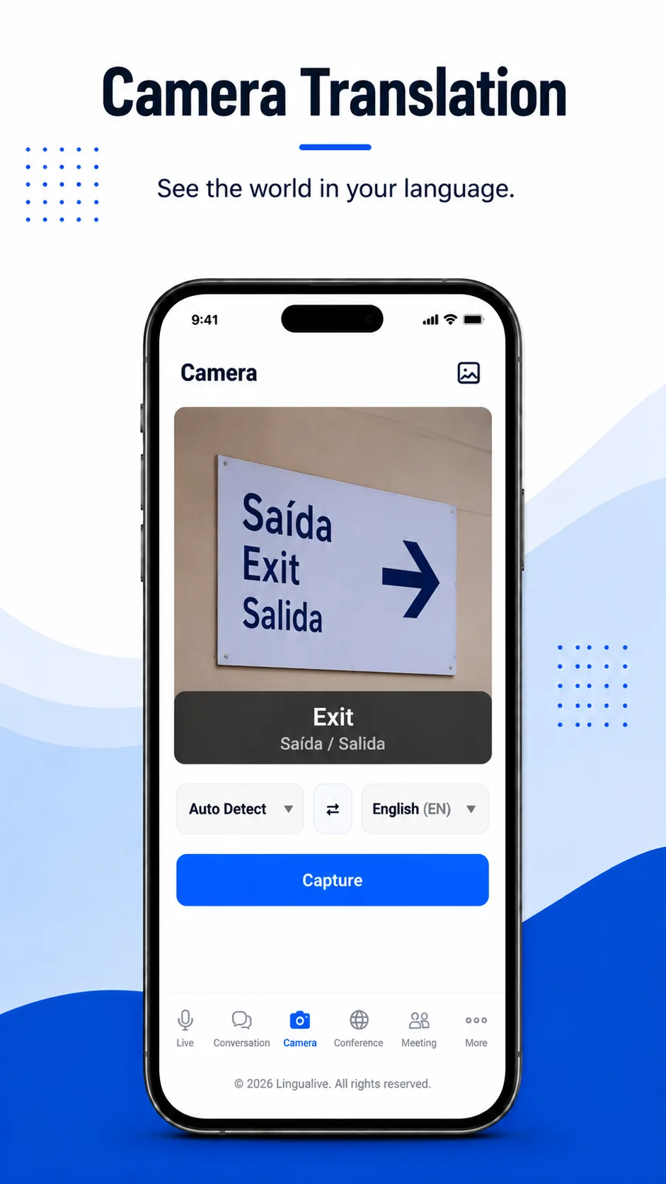 Lingualive Camera Translation